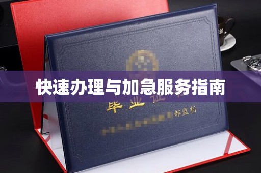 沣东快速办理与加急服务指南