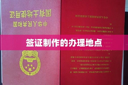 沣东签证制作的办理地点