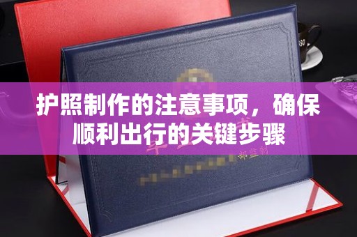 沣东护照制作的注意事项，确保顺利出行的关键步骤