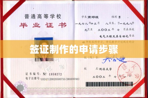 沣东签证制作的申请步骤