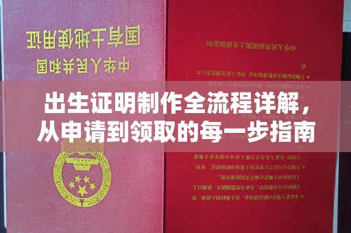 沣东出生证明制作全流程详解，从申请到领取的每一步指南
