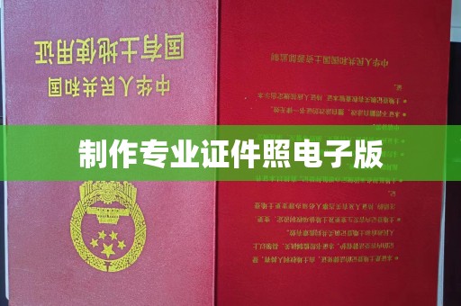 沣东制作专业证件照电子版