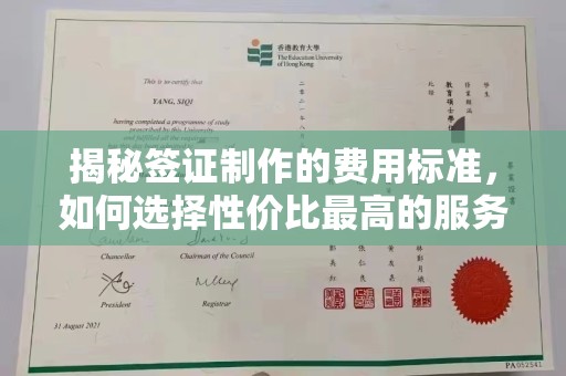 沣东揭秘签证制作的费用标准，如何选择性价比最高的服务？