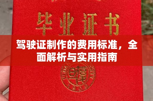 沣东驾驶证制作的费用标准，全面解析与实用指南