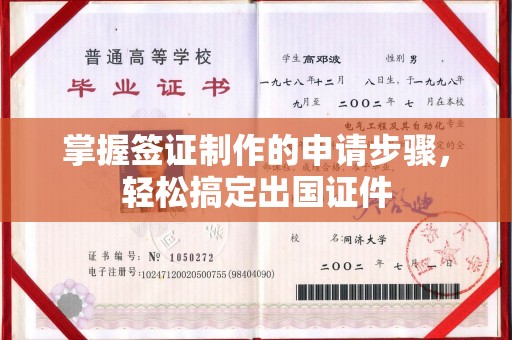 沣东掌握签证制作的申请步骤，轻松搞定出国证件
