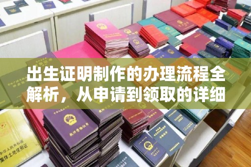 沣东出生证明制作的办理流程全解析，从申请到领取的详细指南