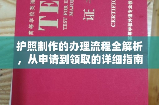 沣东护照制作的办理流程全解析，从申请到领取的详细指南