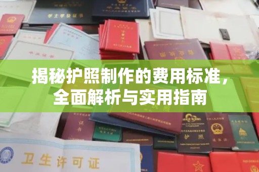 沣东揭秘护照制作的费用标准，全面解析与实用指南