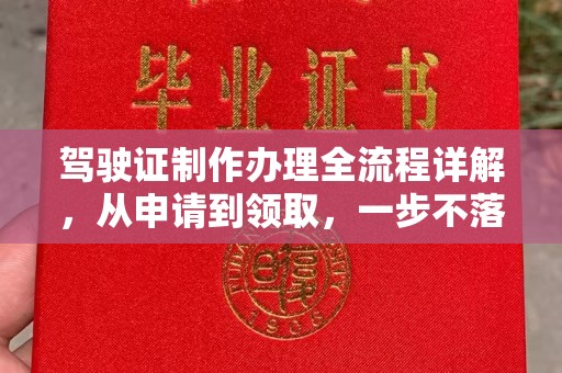 沣东驾驶证制作办理全流程详解，从申请到领取，一步不落