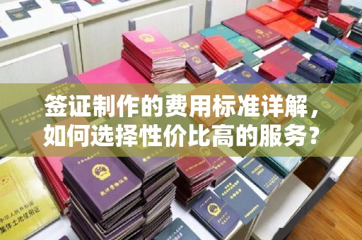 沣东签证制作的费用标准详解，如何选择性价比高的服务？